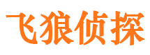 点军侦探公司